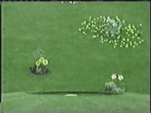Image Télétubbies